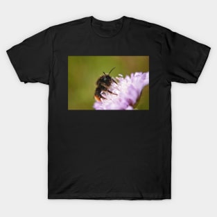 Pollen Covered Bee macro T-Shirt